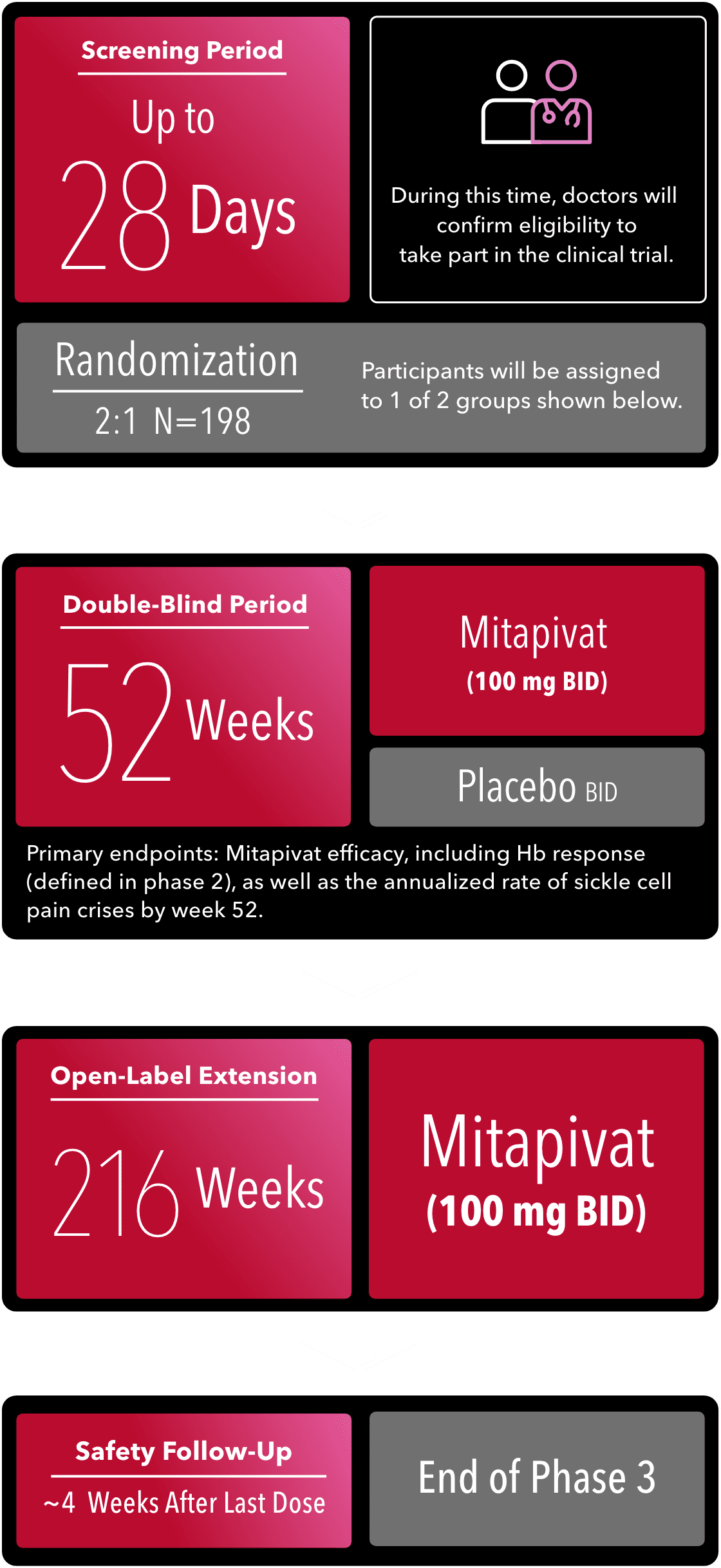 Phase 3 screening period up to 28 days, 52-week double-blind period, primary endpoints, 216-week open-label extension period, and safety follow-up around 4 weeks after last dose