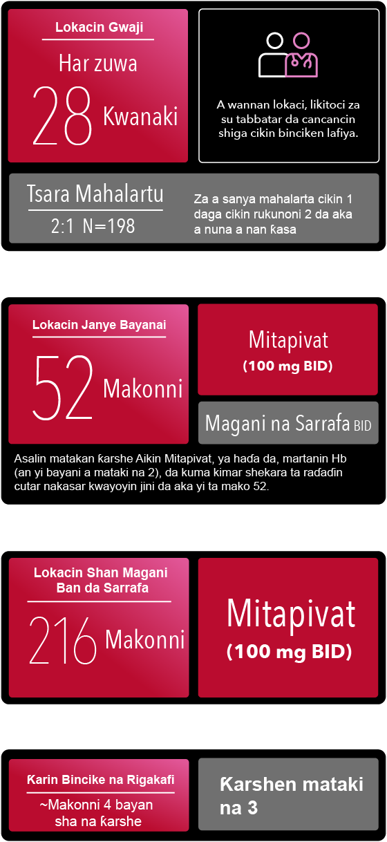 Lokacin tantancewa rukuni na 3 har zuwa kwanaki 28, makonni-52 na sakayayyen gwaji mai mataki biyu, muhimmin abin da ya faru yayin gwaji, makonni-216 lokacin ƙari na buɗaɗɗan bincike, da bitan ganin likata a kusan sati 4 bayan shan maganin ƙarshe